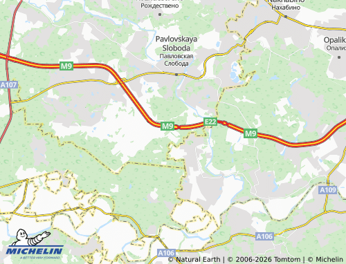 Carte MICHELIN Baltiya - ViaMichelin