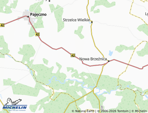 MICHELIN Konstantynów map - ViaMichelin