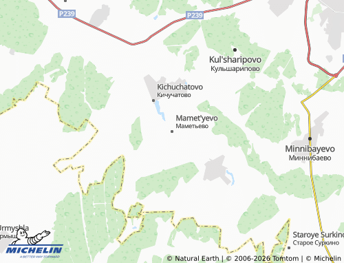 MICHELIN-Landkarte Mamet'yevo - ViaMichelin