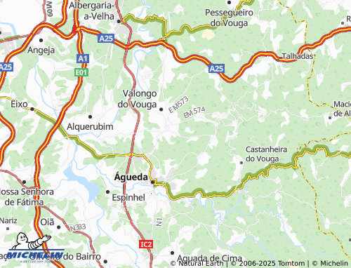 MICHELIN-Landkarte Veiga - ViaMichelin