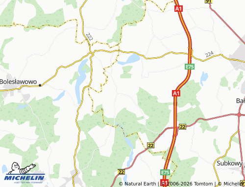 MICHELIN Boroszewo map - ViaMichelin