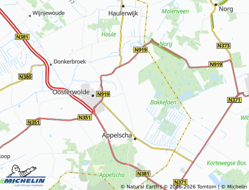 Mappa MICHELIN Fochteloo - ViaMichelin