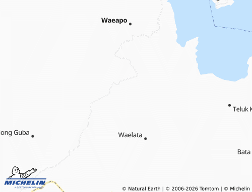 Carte MICHELIN Waeleman - ViaMichelin