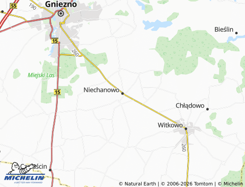 MICHELIN Niechanowo map - ViaMichelin