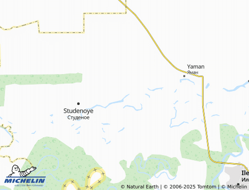 MICHELIN Zazhivnyy map - ViaMichelin