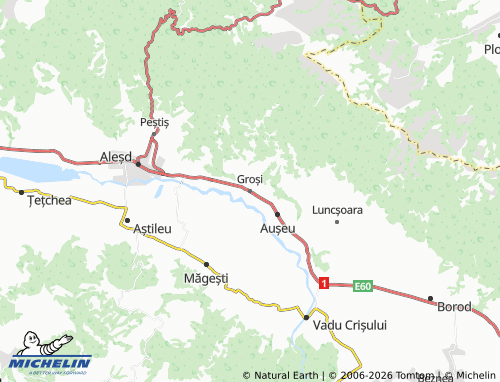 Mapa MICHELIN Groși - ViaMichelin