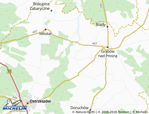 MICHELIN Chlewo map - ViaMichelin