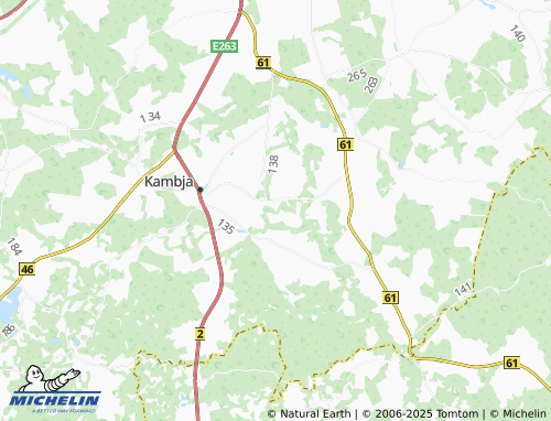 MICHELIN Mäeküla map - ViaMichelin