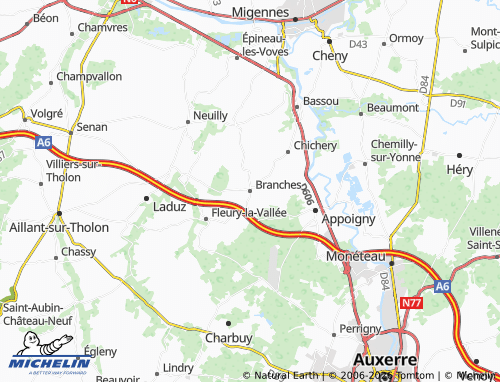 Mappa MICHELIN Branches - ViaMichelin