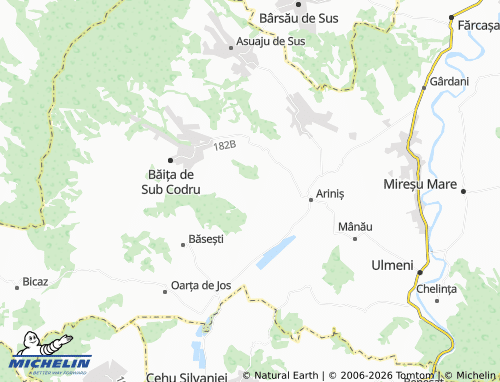 Mapa MICHELIN Tămășești - ViaMichelin