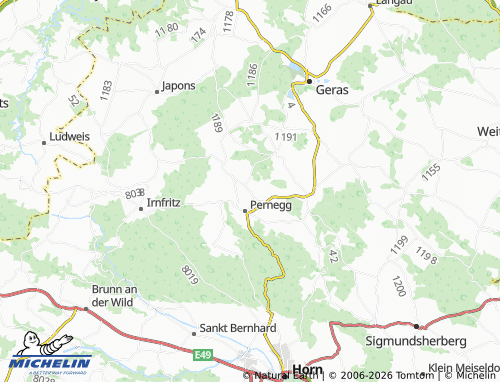 MICHELIN Raisdorf map - ViaMichelin