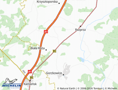 MICHELIN Niechcice map - ViaMichelin