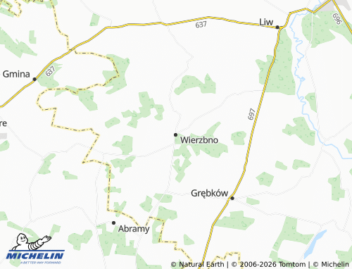 MICHELIN Wierzbno map - ViaMichelin