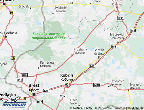 Carte MICHELIN Pruzhanskiy rayon - ViaMichelin