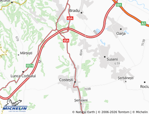 Mappa MICHELIN Broșteni - ViaMichelin