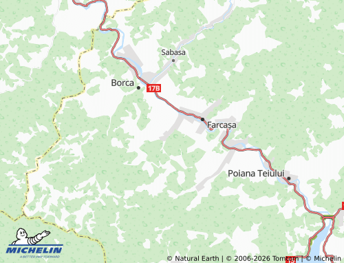 Mappa MICHELIN Stejaru - ViaMichelin