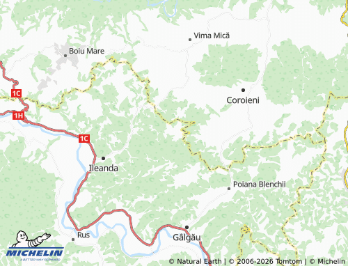 Mappa MICHELIN Bârsăuța - ViaMichelin