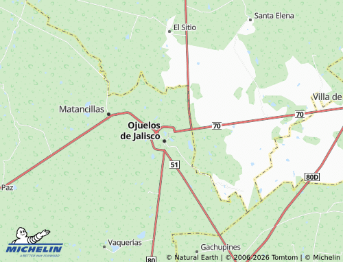 Mapa MICHELIN Nueva de Jacalillo - ViaMichelin