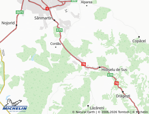 MICHELIN Hidișelu De Jos map - ViaMichelin