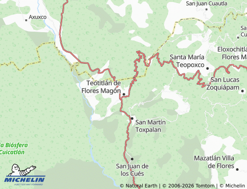 Kaart MICHELIN Centro - ViaMichelin