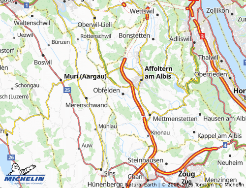 Carte MICHELIN Obfelden - ViaMichelin