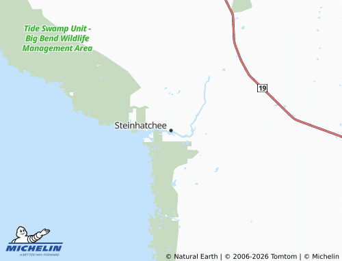 Carte MICHELIN Steinhatchee - ViaMichelin