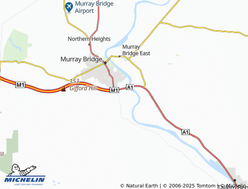 MICHELIN Swanport map - ViaMichelin