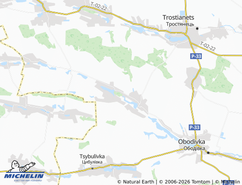 Mappa MICHELIN Kozyntsi - ViaMichelin