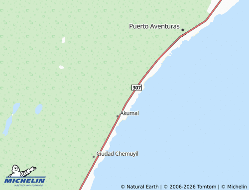 Mappa MICHELIN San Martín - ViaMichelin