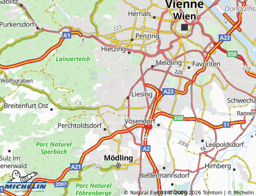 MICHELIN Liesing map - ViaMichelin