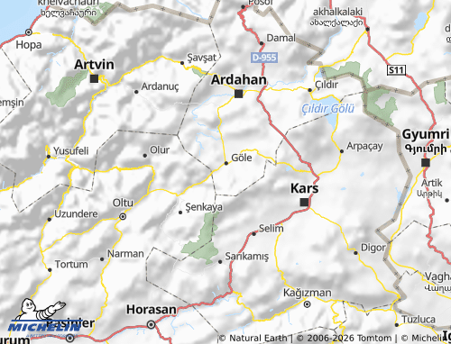 MICHELIN Göle map - ViaMichelin