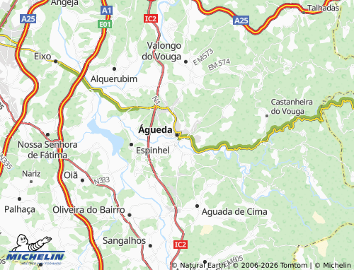 MICHELIN Águeda map - ViaMichelin
