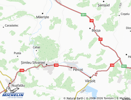 MICHELIN Bădăcin map - ViaMichelin