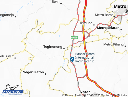 MICHELIN Tegineneng map - ViaMichelin