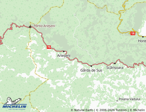 Mappa MICHELIN Fața Lăpușului - ViaMichelin