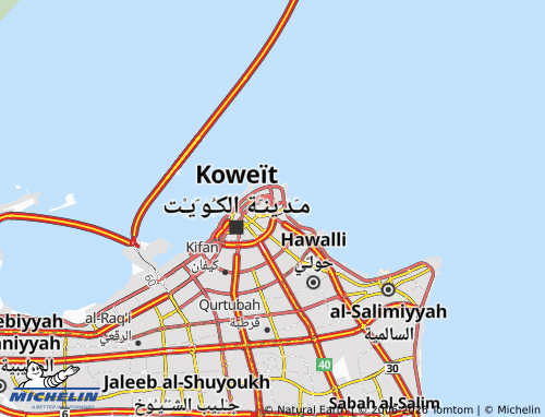 Mapa MICHELIN al-Sharq 8 - ViaMichelin
