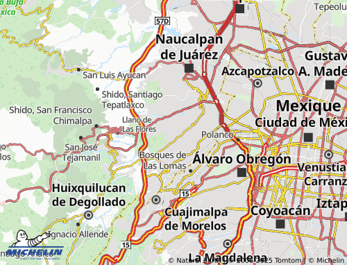 Mapa MICHELIN Plan de Ayala Segunda Sección - ViaMichelin