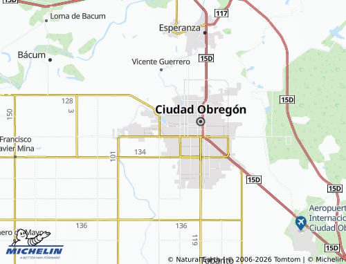 Carte MICHELIN Fuentes del Bosque - ViaMichelin