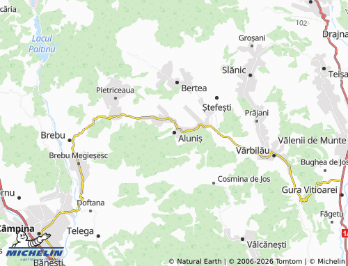 MICHELIN Aluniș map - ViaMichelin
