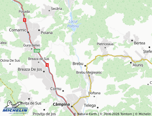 MICHELIN Lunca Mare map - ViaMichelin