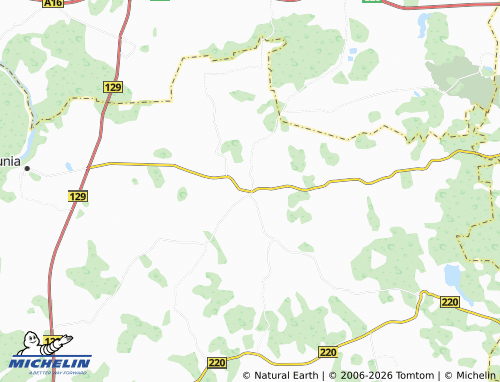 MICHELIN Butrimonys map - ViaMichelin