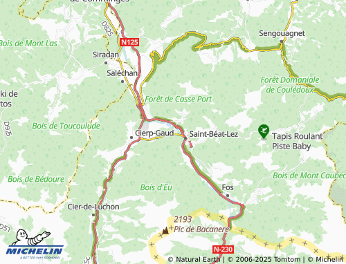 Carte MICHELIN Rap - ViaMichelin