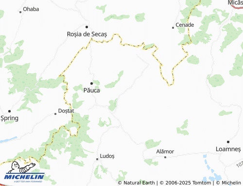 MICHELIN Bogatu Român map - ViaMichelin