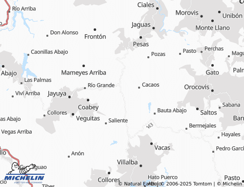 Mapa MICHELIN Toro Negro - ViaMichelin