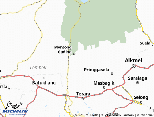 MICHELIN Pesanggrahan map - ViaMichelin