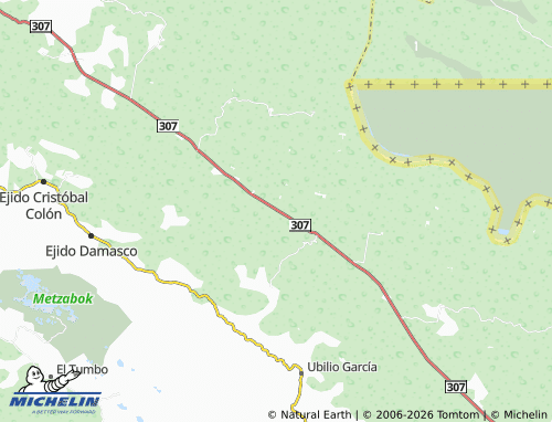 Mappa MICHELIN 11 de Julio Primera Sección - ViaMichelin