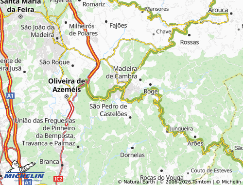 MICHELIN Vale de Cambra map - ViaMichelin