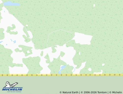 Mappa MICHELIN Nuevo Coahuila - ViaMichelin