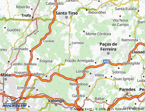 Mapa MICHELIN Reguenga - ViaMichelin