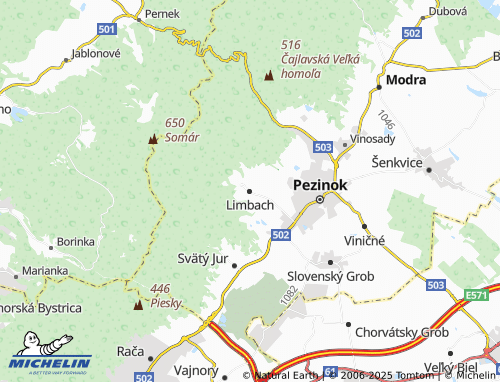 MICHELIN Limbach map - ViaMichelin